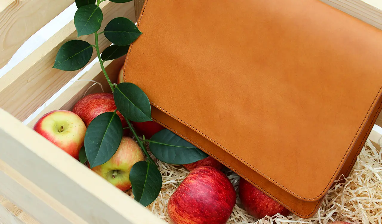 3.Apple and vegan leather.jpg