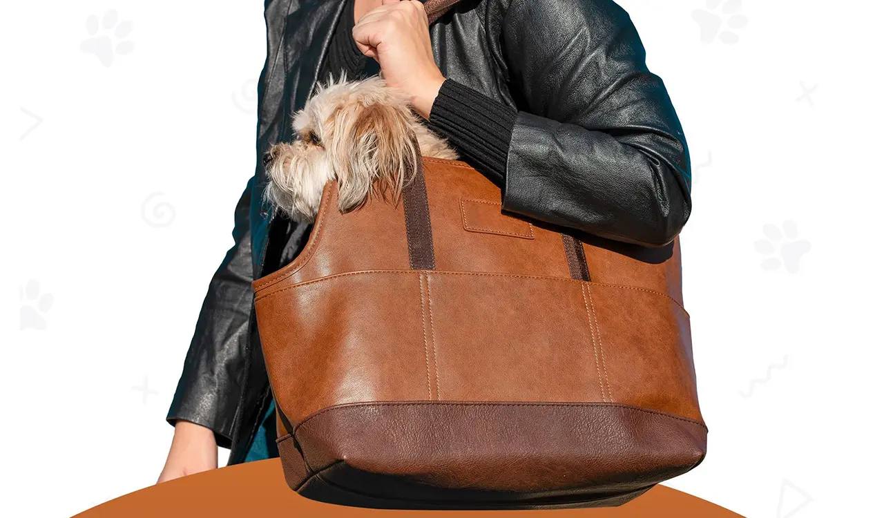 Brown-04.jpg
