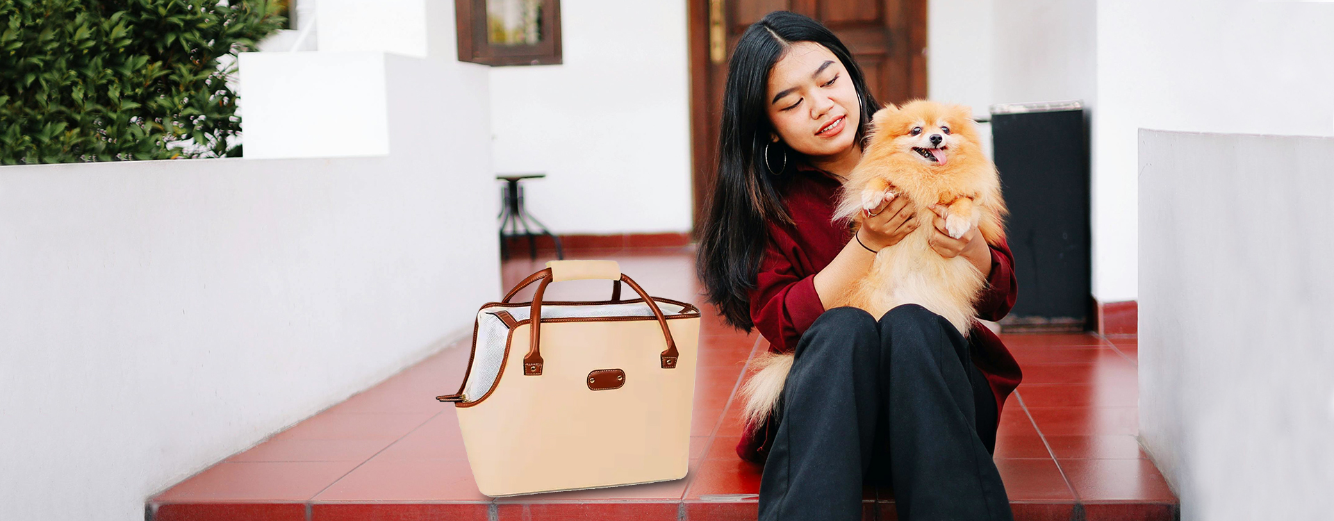 Pet Bag