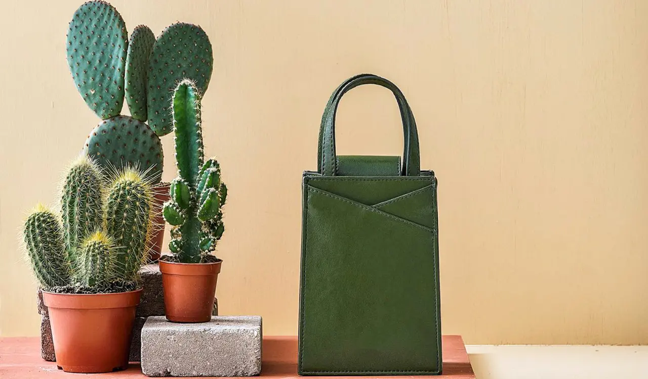 2.cactus and vegan leather.jpg