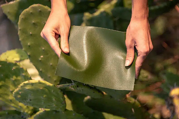 Leather Guide: What is Vegan Leather?